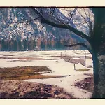 Turisticna Kmetija Psnak Lejlighed Mojstrana