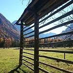 Turisticna Kmetija Psnak Mojstrana