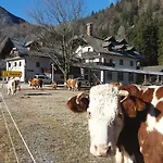 Lejlighed Turisticna Kmetija Psnak