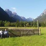 Lejlighed Turisticna Kmetija Psnak Mojstrana