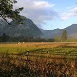 Turisticna Kmetija Psnak Lejlighed Mojstrana