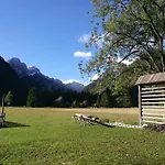 Turisticna Kmetija Psnak * Mojstrana