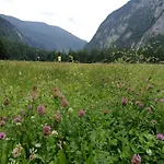 Turisticna Kmetija Psnak * Mojstrana