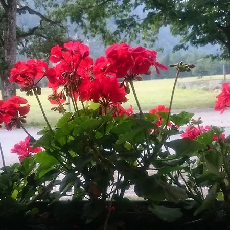 Lejlighed Turisticna Kmetija Psnak Mojstrana