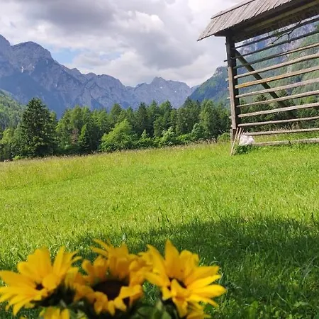 Lejlighed Turisticna Kmetija Psnak