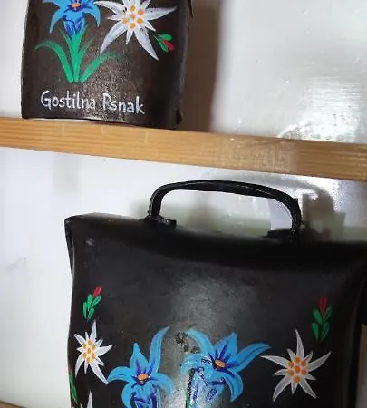 Turisticna Kmetija Psnak شقة *