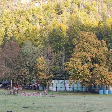Lejlighed Turisticna Kmetija Psnak *