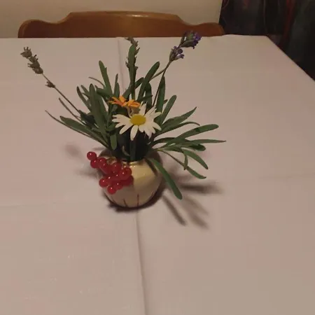 Turisticna Kmetija Psnak