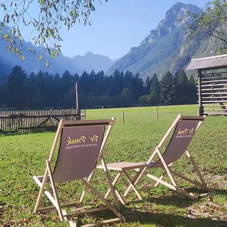 Lejlighed Turisticna Kmetija Psnak Mojstrana