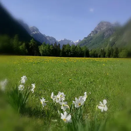 Turisticna Kmetija Psnak * Mojstrana