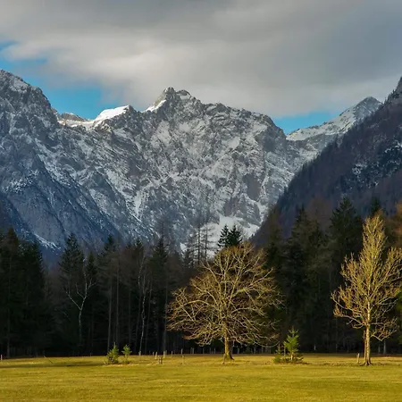 Turisticna Kmetija Psnak * Mojstrana