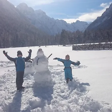 Turisticna Kmetija Psnak Apartman Mojstrana