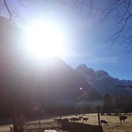 Turisticna Kmetija Psnak Lejlighed *