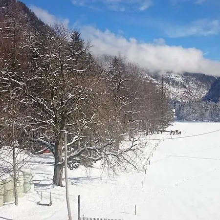 Turisticna Kmetija Psnak Апартаменты *