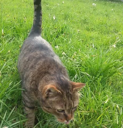 Turisticna Kmetija Psnak *