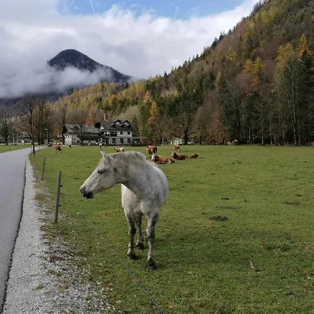Turisticna Kmetija Psnak Apartman Mojstrana