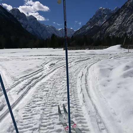 Lejlighed Turisticna Kmetija Psnak Mojstrana