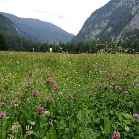 Turisticna Kmetija Psnak * Mojstrana