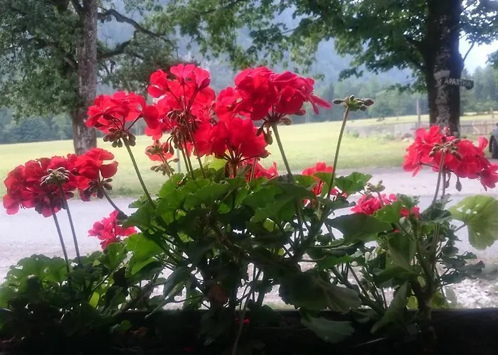 Lägenhet Turisticna Kmetija Psnak Mojstrana