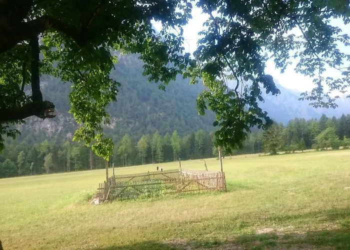 Turisticna Kmetija Psnak * Mojstrana