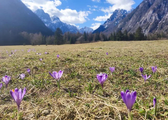 דירה Turisticna Kmetija Psnak *