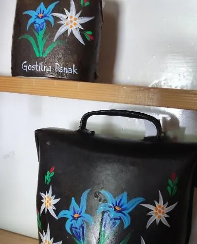 Turisticna Kmetija Psnak דירה *