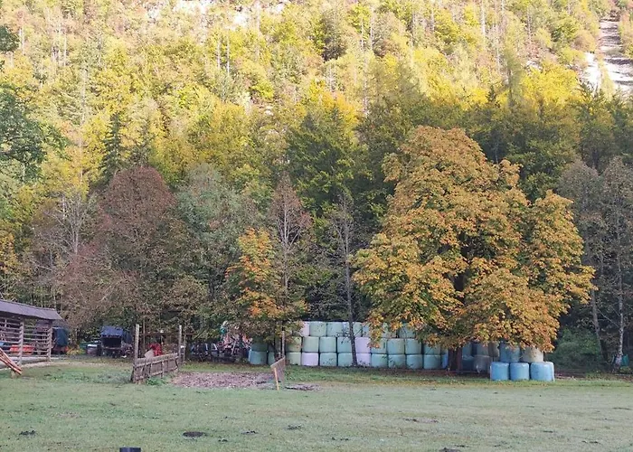 Lägenhet Turisticna Kmetija Psnak *