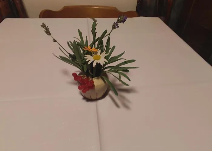 Turisticna Kmetija Psnak