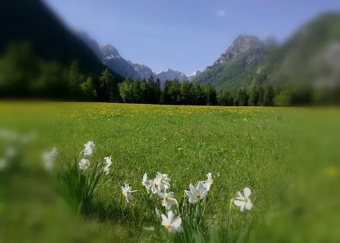 Turisticna Kmetija Psnak * Mojstrana