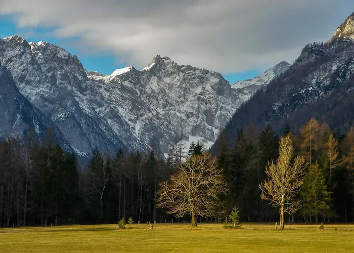 Turisticna Kmetija Psnak * מויסטראנה