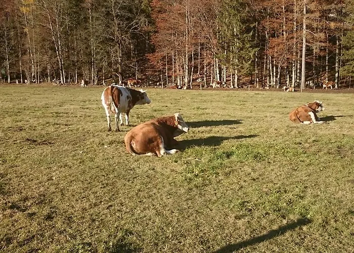 דירה Turisticna Kmetija Psnak