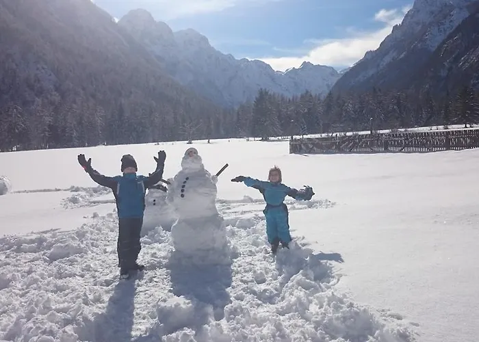 Turisticna Kmetija Psnak Lägenhet Mojstrana