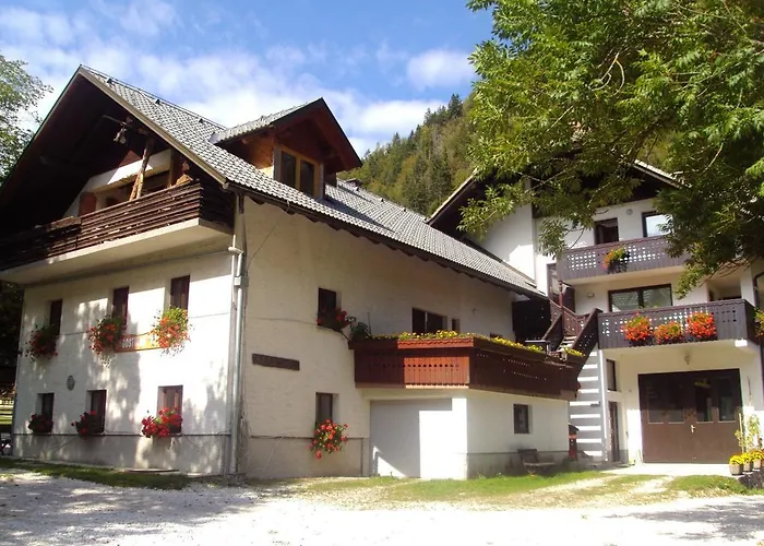 Turisticna Kmetija Psnak * Mojstrana