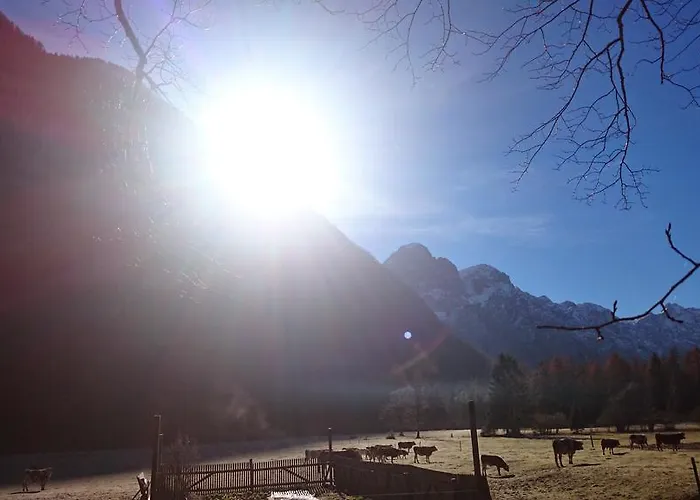 Turisticna Kmetija Psnak شقة *