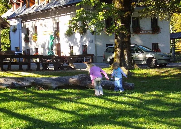 Turisticna Kmetija Psnak *