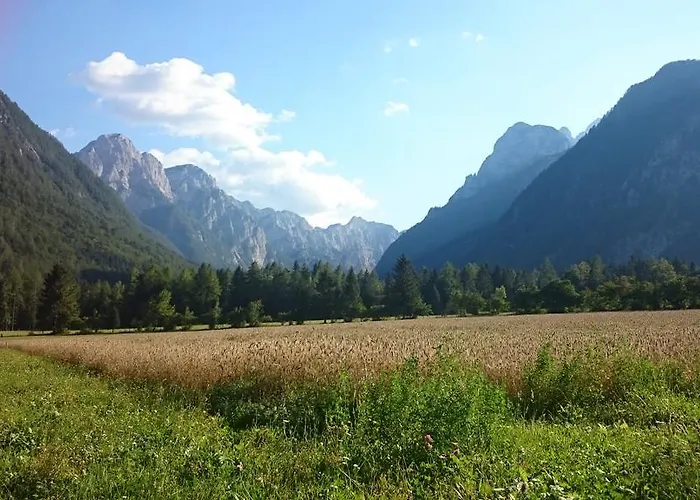 Turisticna Kmetija Psnak * Mojstrana