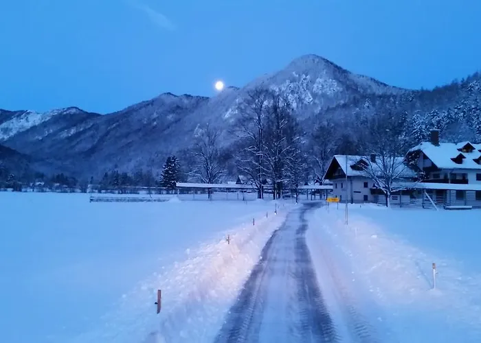 Turisticna Kmetija Psnak Lägenhet Mojstrana