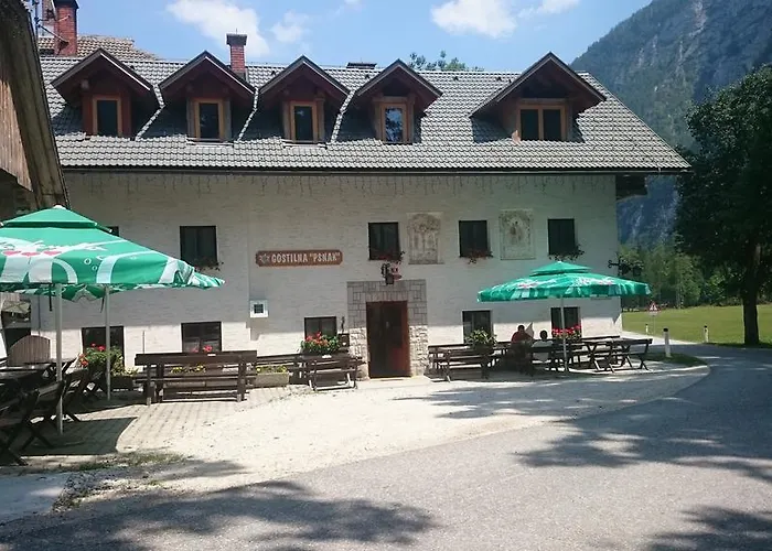 Turisticna Kmetija Psnak Mojstrana