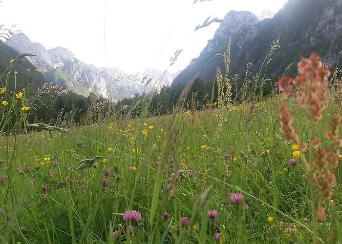 Turisticna Kmetija Psnak *