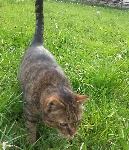 Turisticna Kmetija Psnak *