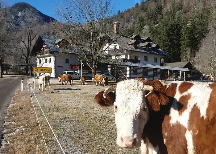 Lägenhet Turisticna Kmetija Psnak