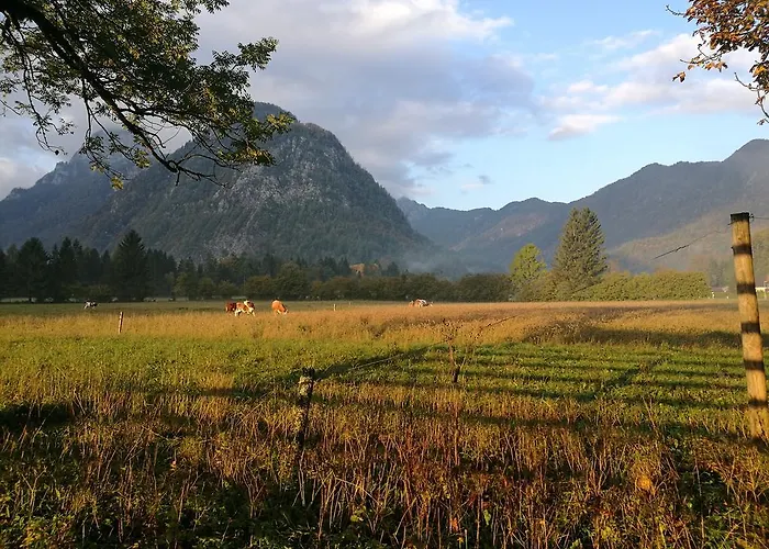 Turisticna Kmetija Psnak Lägenhet Mojstrana