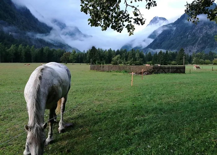 דירה Turisticna Kmetija Psnak