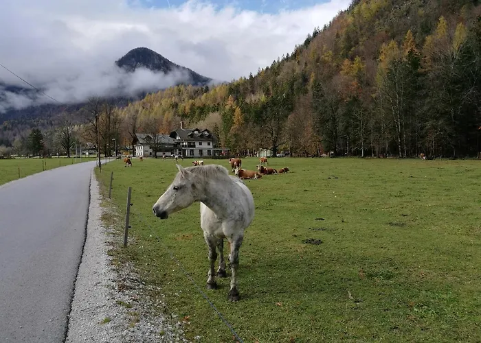 Turisticna Kmetija Psnak Lägenhet Mojstrana