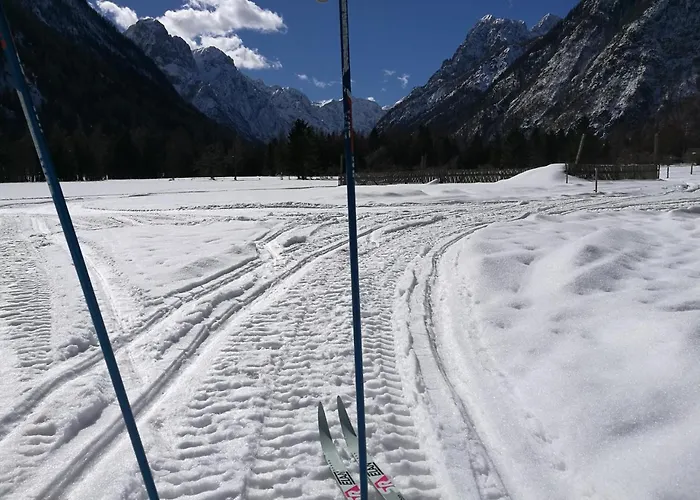 Lägenhet Turisticna Kmetija Psnak Mojstrana