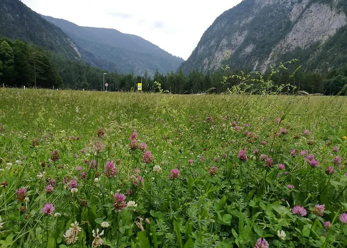 Turisticna Kmetija Psnak * Mojstrana